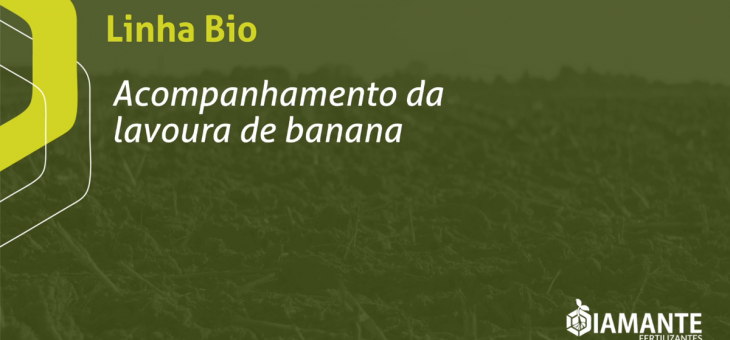 Linha Bio Fertpower no cultivo de banana.